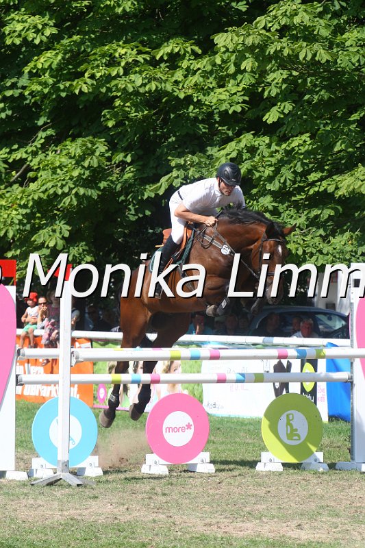 308M3689_Qualintor_Springpferde Mx.JPG